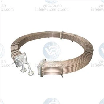 Bearing Ola with