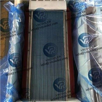 Comhbhrúiteoir Cooper Joy with TA3000